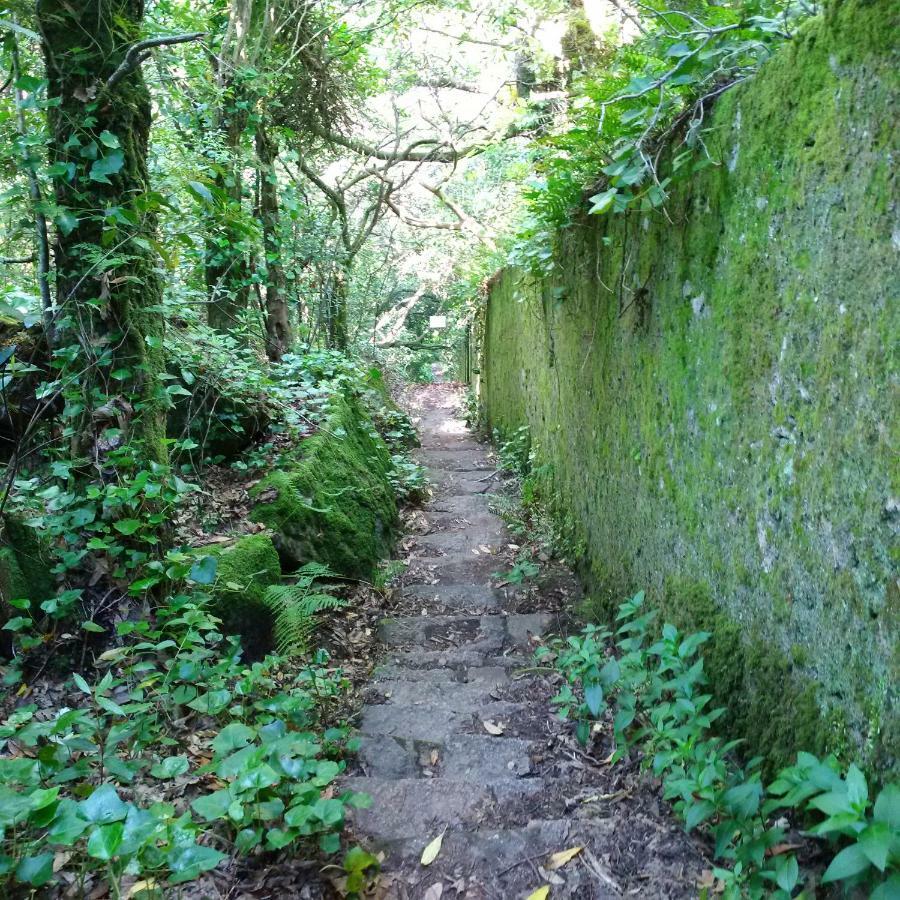 Villa Mucifal D Sintra Zewnętrze zdjęcie